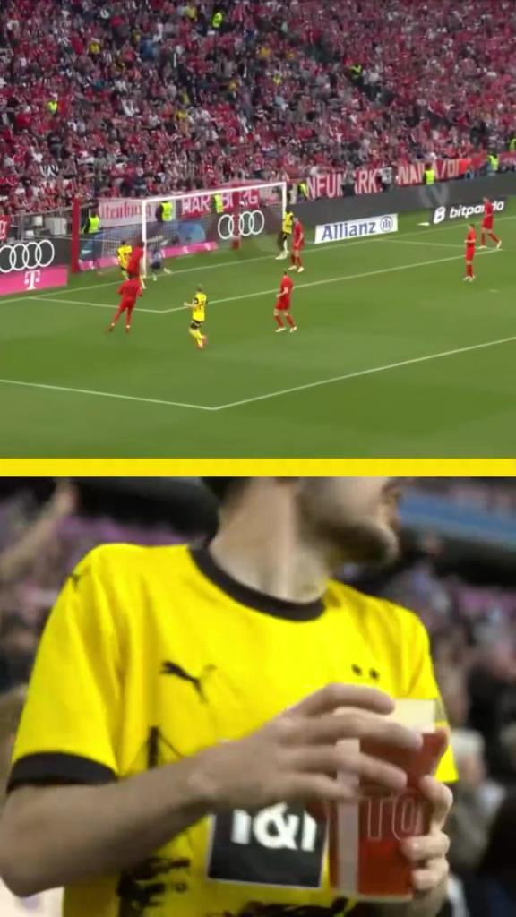 勇者無(wú)懼！這是真多特球迷！在拜仁球迷區(qū)一個(gè)人肆意慶祝！